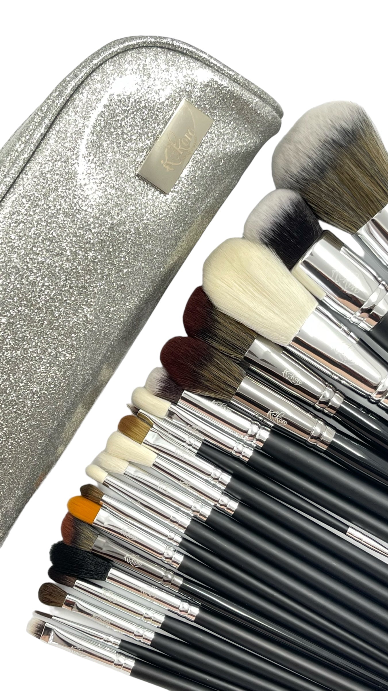 Pro Silver Brush Set